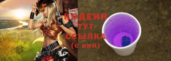 эйфоретик Майский