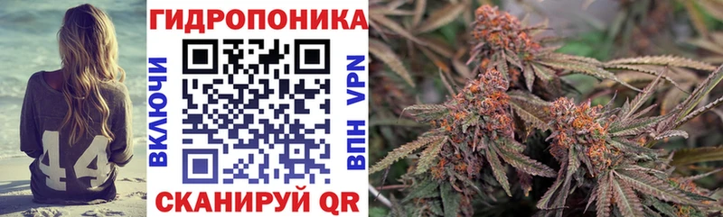 Конопля марихуана  Купить  Балаково 